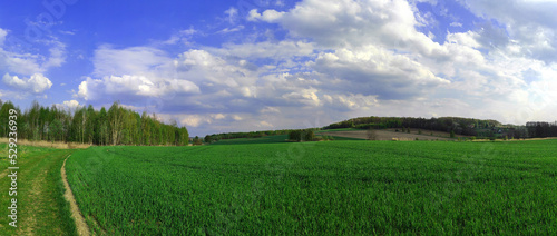panoramic view of the green rural farmland and country road with beautiful clouds