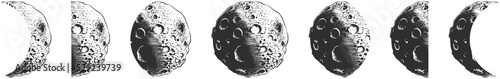 Set of PNG engraved style moon phases for posters, decoration and print. Hand drawn space sketches isolated on white background. Detailed vintage woodcut style drawing.