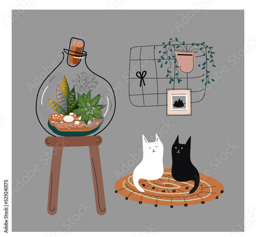 vector terrarium plants succulents