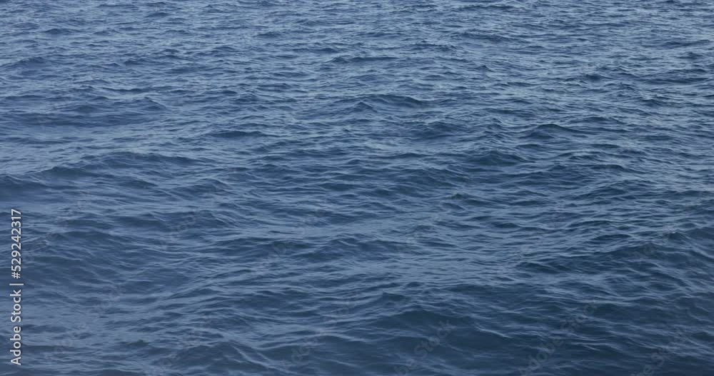 Smooth waves rolling through on the sea Smooth waves rolling through on the sea