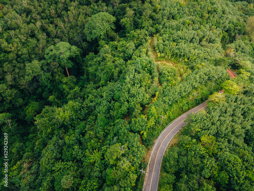 Top view curvy road in the middle of green forest. Amazing nature landscape. Aerial view from flying drone. summer green trees and road in forest.