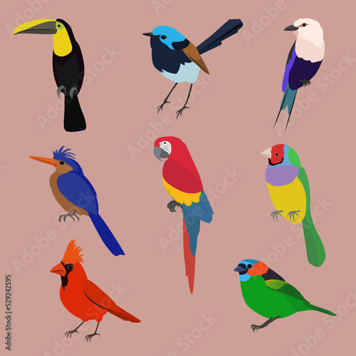 set of birds
