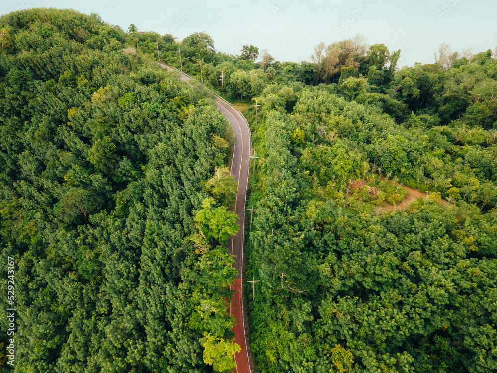 Autumnal foliage in woodland and winding red road, drone aerial view
