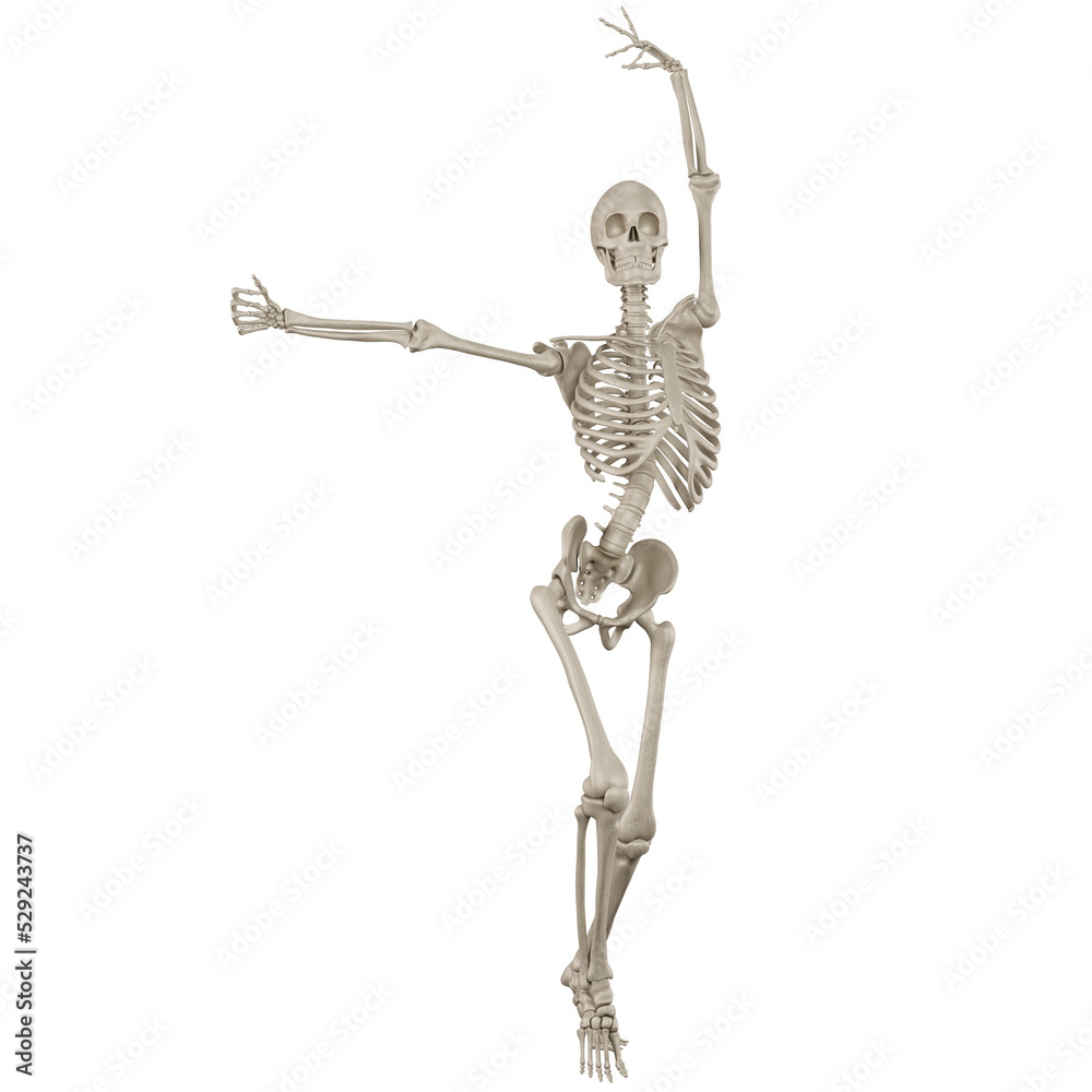 skeleton posing 3d render skeleton posing 3d render