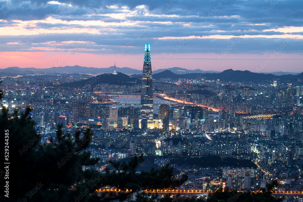 Seoul Night View
