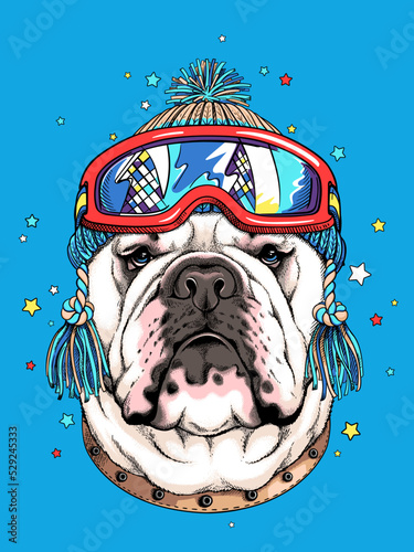 Cute cartoon english bulldog in winter hat and ski goggles. Stylish image for printing on any surface	