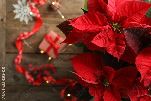 Poinsettia (traditional Christmas flower) and holiday items on wooden table, top view. Space for text photo