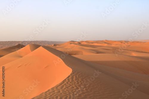 Desert Wahiba Sands in Oman  Near East