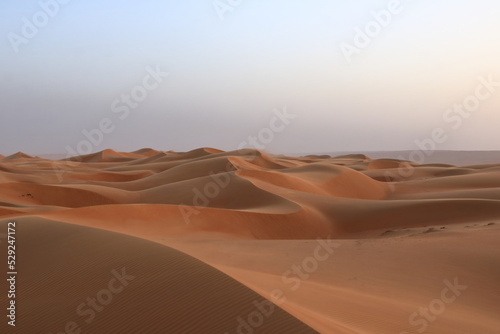 Canvastavla Desert Wahiba Sands in Oman, Near East