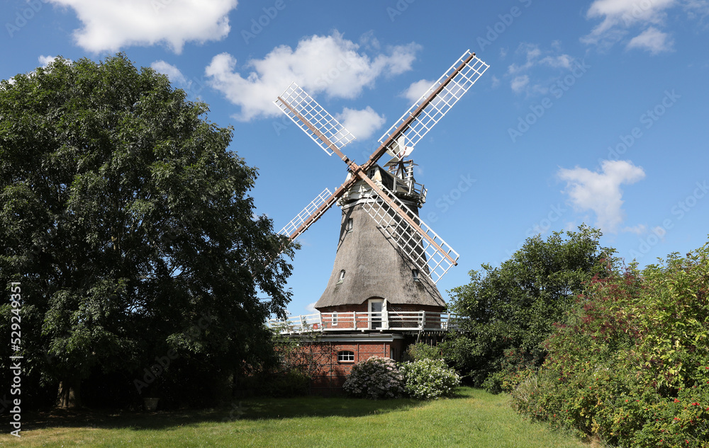 Windmühle Windmühle