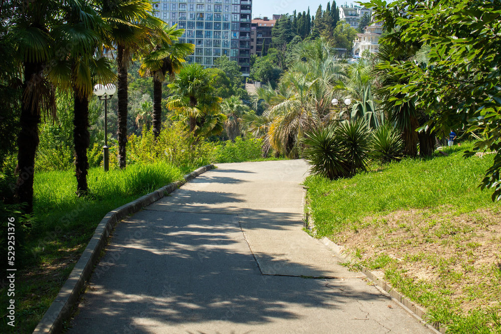 Obraz premium beautiful views of the summer park