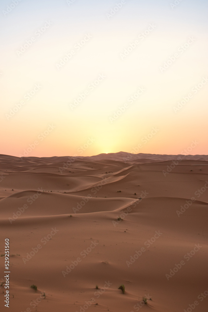 Dunes in the Sahara desert at sunrise, the desert near the town of Merzouga, a beautiful African landscape Dunes in the Sahara desert at sunrise, the desert near the town of Merzouga, a beautiful African landscape