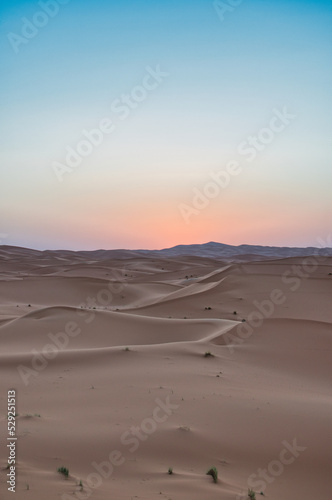 Dunes in the Sahara desert at sunrise, the desert near the town of Merzouga, a beautiful African landscape