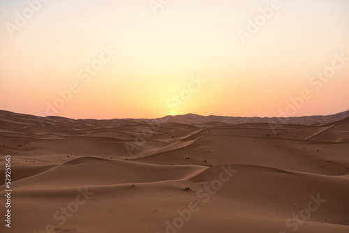 Dunes in the Sahara desert at sunrise  the desert near the town of Merzouga  a beautiful African landscape