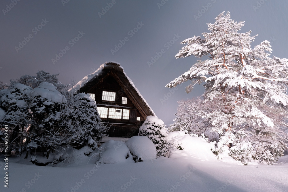 shirakawako house in Japan winter season