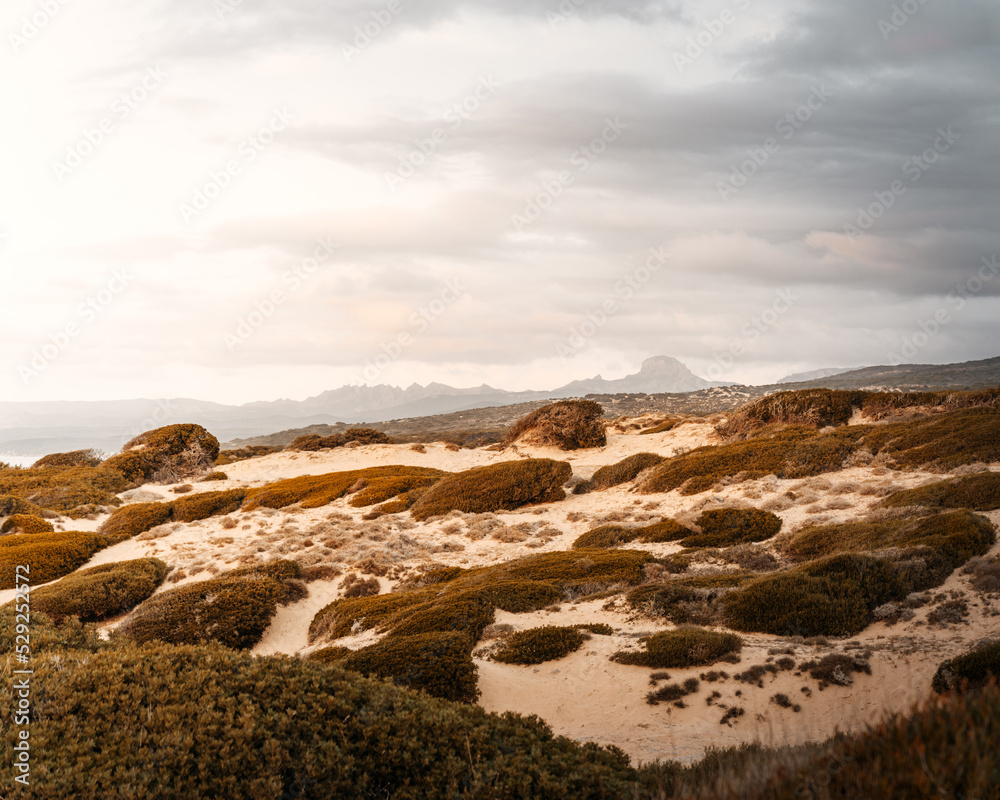 Lanschaft über dem Strand Spiaggia di Scivu auf Sardinien Italien