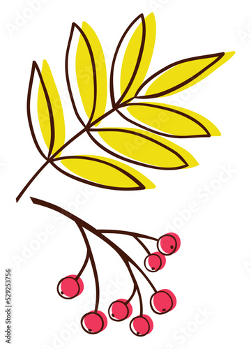 Hand drawing cartoon autumn rowan leaves. Fun pretty doodle vector flat style. Cute simple red rowanberry
