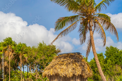 Tropical natural beach palm tree hut Playa del Carmen Mexico.