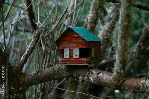 wooden bird house © Iryna