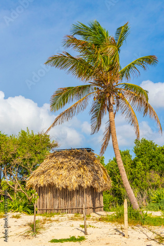 Fototapeta Tropical natural beach palm tree hut Playa del Carmen Mexico.