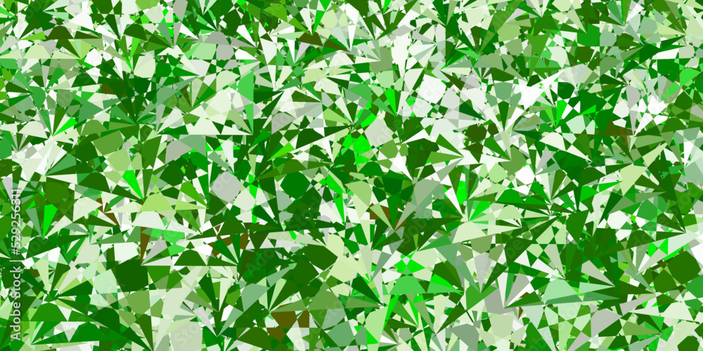 Light Green vector pattern with polygonal shapes. Light Green vector pattern with polygonal shapes.