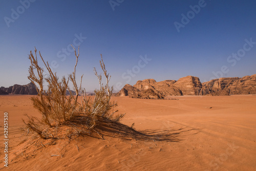 Wadi Rum Desert landscape in Jordan. Dunes and mountains. Travel and tourism concept.