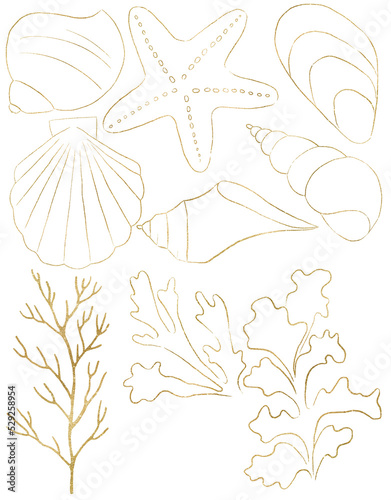 Seashells, starfish, seaweeds and corals made of golden outlines, single elements for beach wedding Illustration, clipart