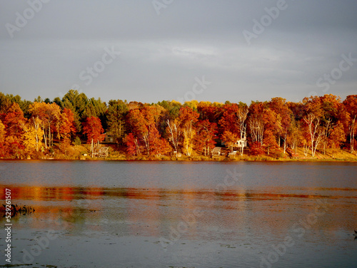 autumn trees in the lake