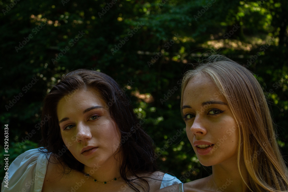 two girlfriends blonde and brunette are walking in the park two girlfriends blonde and brunette are walking in the park