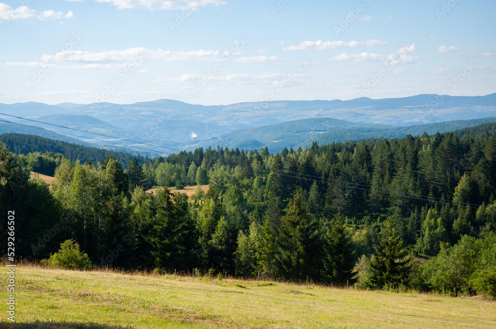 View on the forest and mountain near Pljevlja, Montenegro.