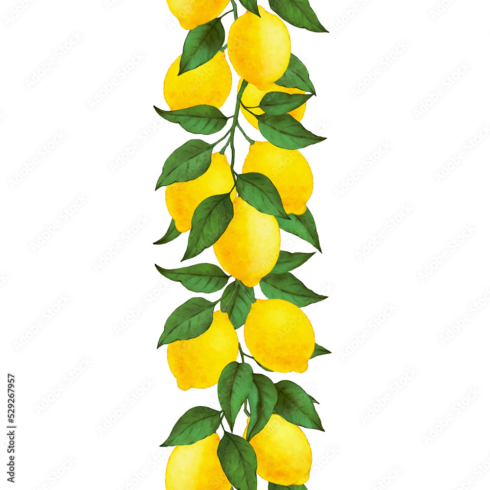 Lemon Watercolor vertical seamless  border. Lemon PNG seamless  border. 