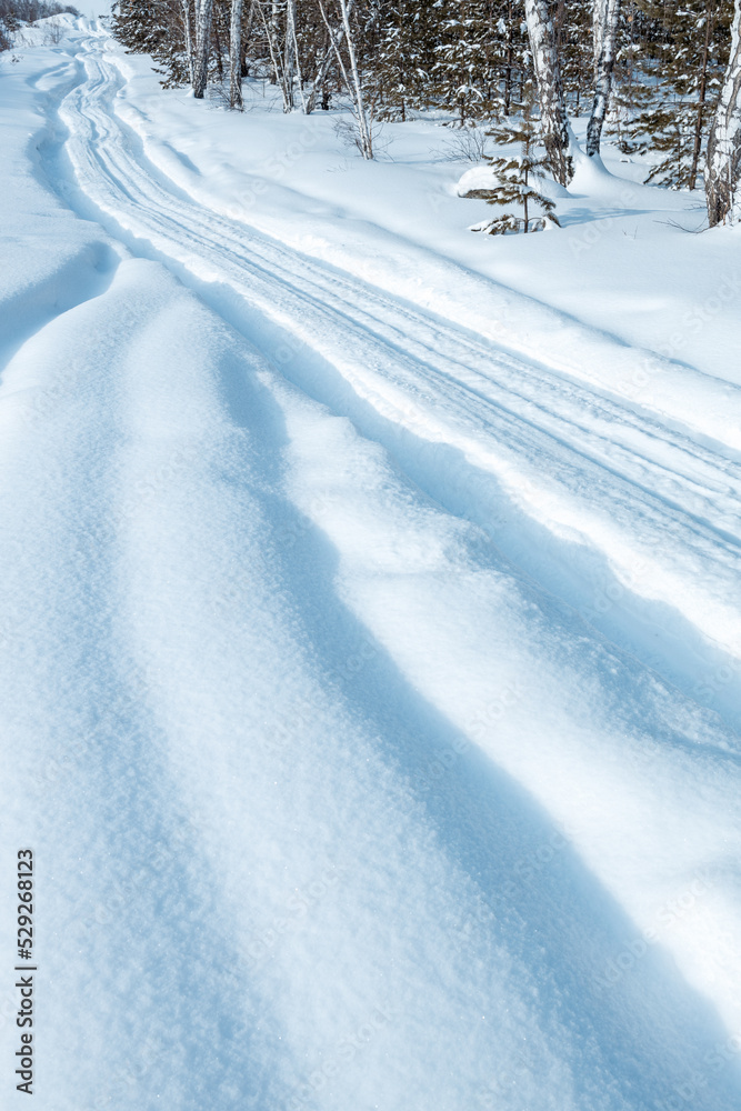 vertical photo of a winter landscape with a winter road through the forest