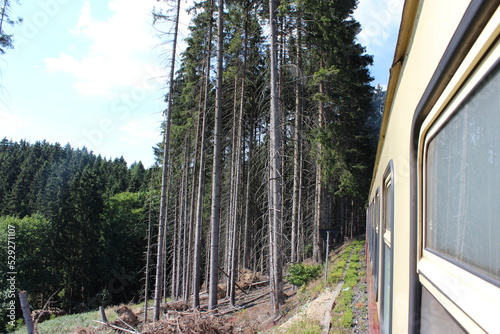 Waldbahn  photo