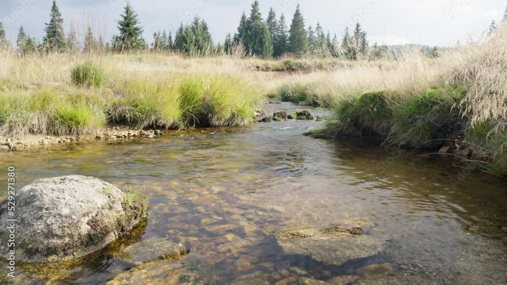 Small river in the Jizera Mountains in Czech Republic Small river in the Jizera Mountains in Czech Republic
