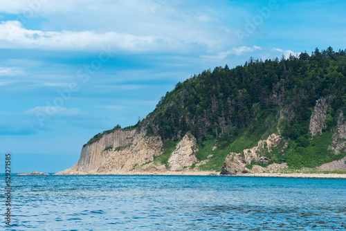 coastal seascape, beautiful lava rocks on the wooded coast of Kunashir island near Cape Stolbchaty