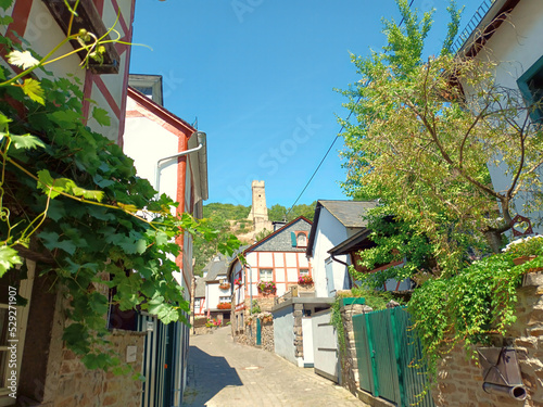 Blick auf alte Fachwerkhäuser und die Philippsburg in Monreal im Landkreis Mayen-Koblenz in der Eifel, Rheinland-Pfalz.