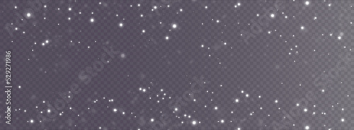 Christmas background. Powder dust light white PNG. Magic shining white dust. Fine, shiny dust particles fall off slightly. Fantastic shimmer effect.	
