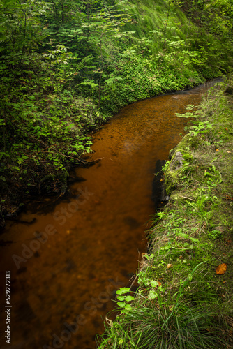 Raceway from Mensi Vltavice creek for monastery in Vyssi Brod photo