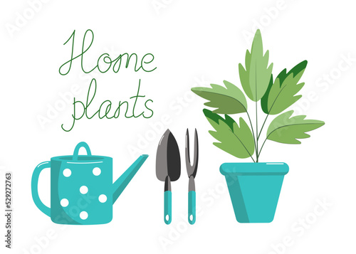 Set of garden tools, watering can, indoor plants. Isolated background. Color vector illustration. Floristics and gardening, hobbies, outdoor activities. Sign Horticulture, agronomy.