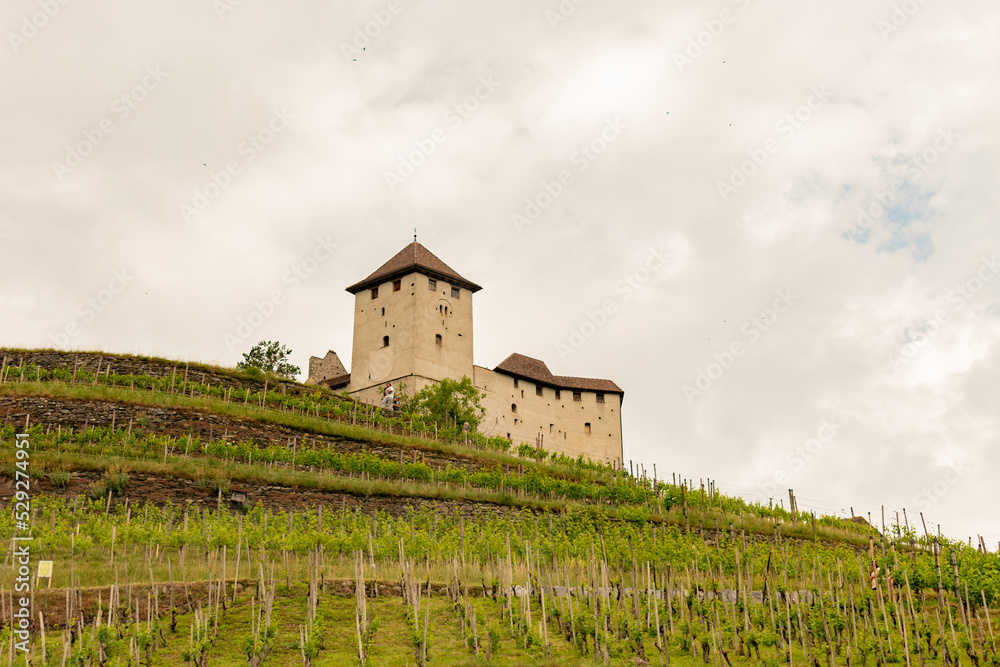 Fototapeta premium Gutenberg castle in Balzers in Liechtenstein