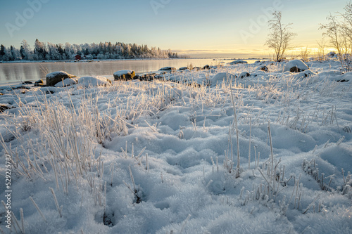 A calm winter landscape of frozen seashore in a chilly weather with clear sky horizon, sunrays and pine trees