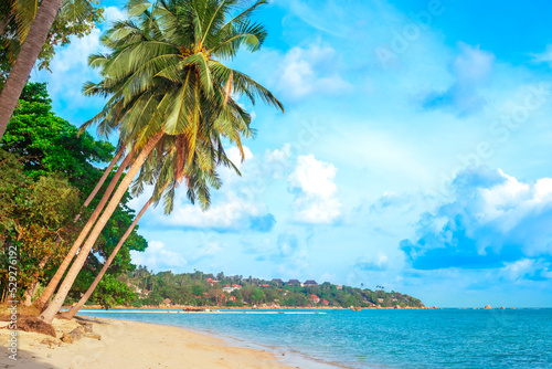 Tropical landscape. A blue sea with a leaning palm tree on a sandy shore and a green hill. Travel and tourism © Natalia