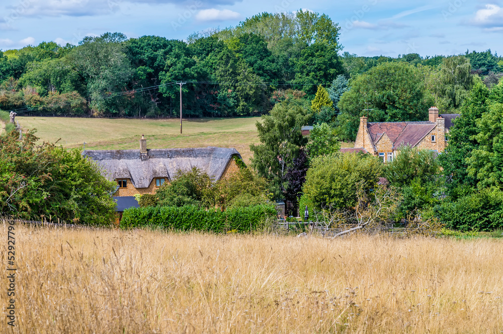 A view across fields towards a hollow close to Upper Harlestone, Northampton, UK in summertime A view across fields towards a hollow close to Upper Harlestone, Northampton, UK in summertime