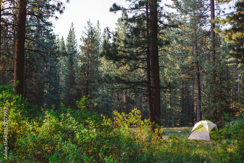 Tent in forest at Grover Hot Springs State Park photo