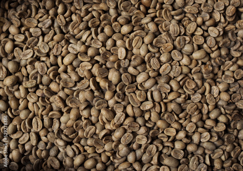 Close-up of raw coffee beans
