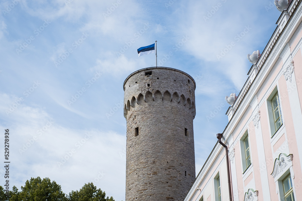 Estonian flag on top of old medieval tower 