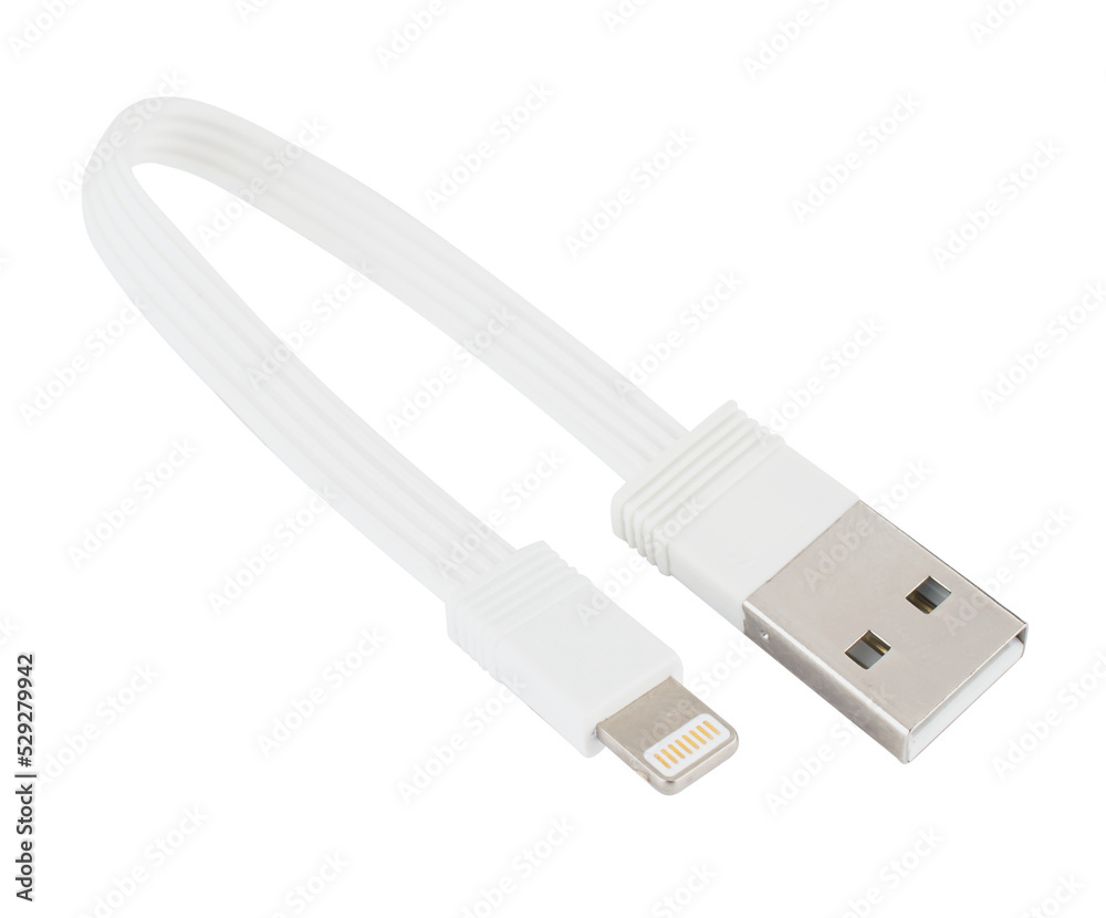 cable with USB and Lightning connector cable with USB and Lightning connector