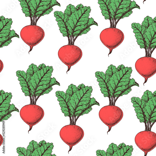 Beet seamless pattern. Hand drawn background. Vector illustration. Color illustration. Beet vegetable hand drawn backdrop. Root vegetable.