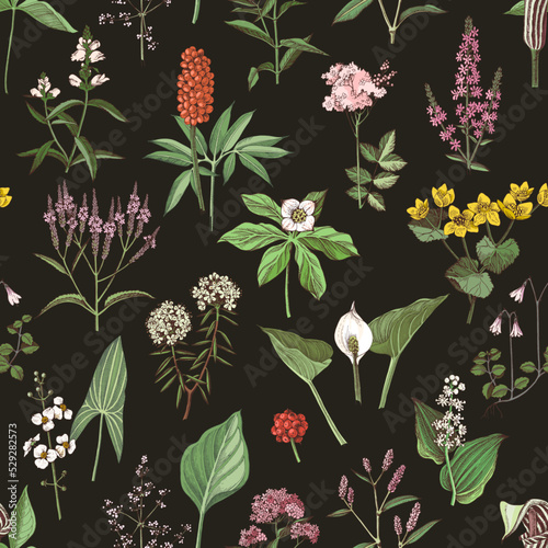 Floral seamless pattern, different swamp plants 