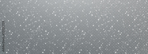 Christmas background. Powder dust light white PNG. Magic shining white dust. Fine, shiny dust particles fall off slightly. Fantastic shimmer effect.	
